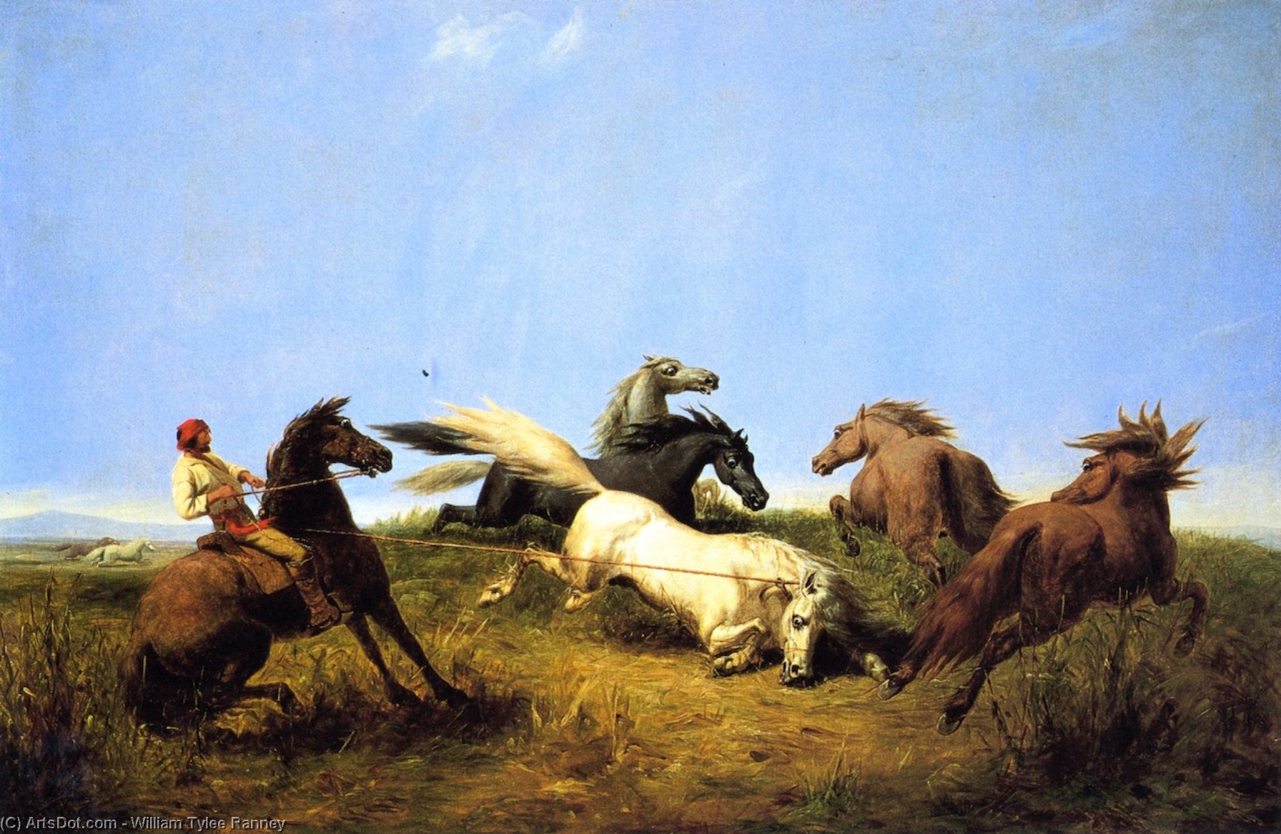 Wikioo.org - Bách khoa toàn thư về mỹ thuật - Vẽ tranh, Tác phẩm nghệ thuật William Tylee Ranney - Hunting Wild Horses