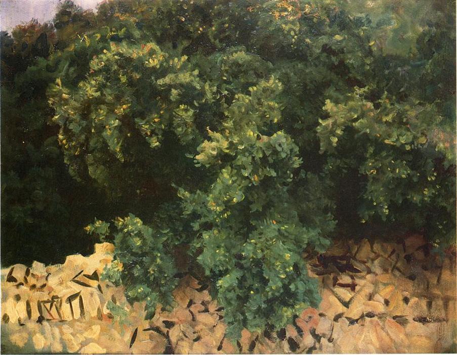 Wikioo.org - The Encyclopedia of Fine Arts - Painting, Artwork by John Singer Sargent - Ilex Wood, Majorca