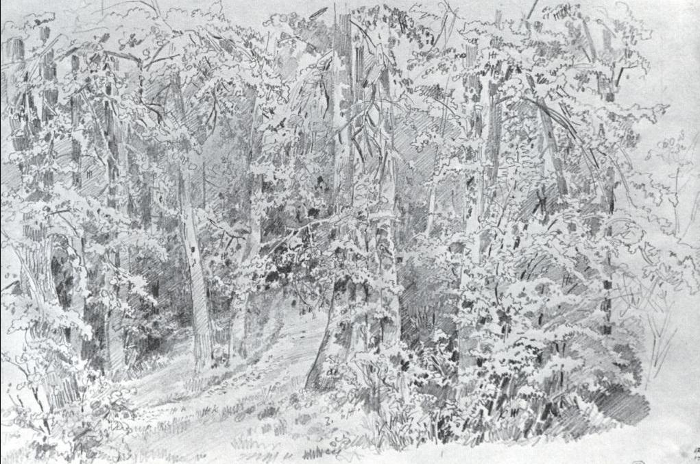 WikiOO.org - Encyclopedia of Fine Arts - Maľba, Artwork Ivan Ivanovich Shishkin - In deciduous forest