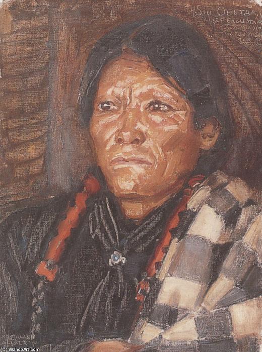 Wikioo.org - The Encyclopedia of Fine Arts - Painting, Artwork by Akseli Gallen Kallela - The Indian Siu Ohutaa