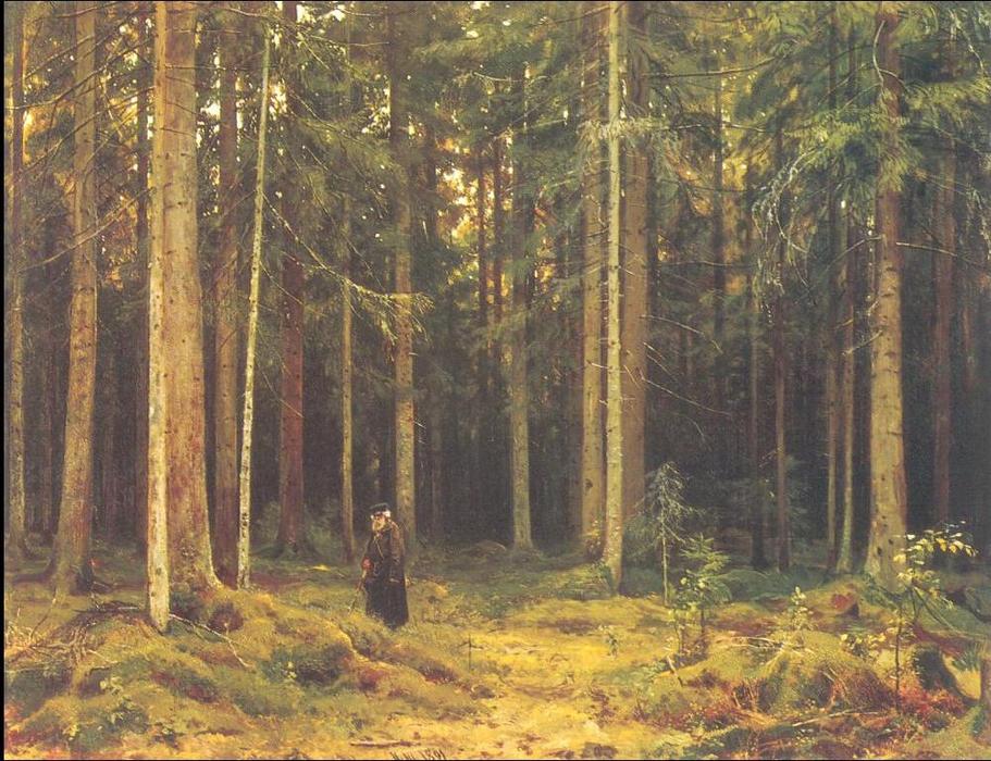 WikiOO.org - Encyclopedia of Fine Arts - Schilderen, Artwork Ivan Ivanovich Shishkin - In the forest of countess Mordvinova, Petergof