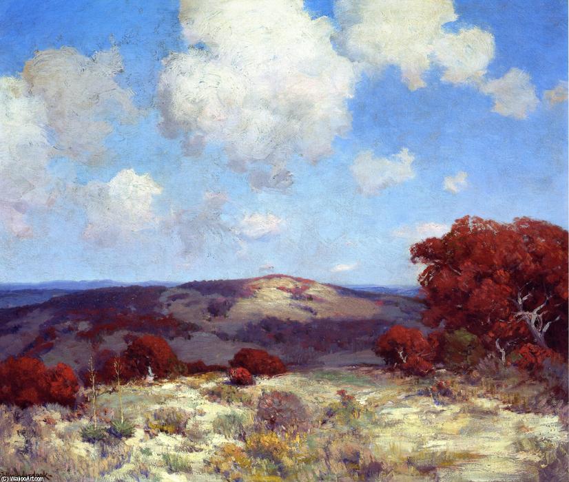 Wikioo.org - The Encyclopedia of Fine Arts - Painting, Artwork by Robert Julian Onderdonk - In the Hills of the Spanish Oaks