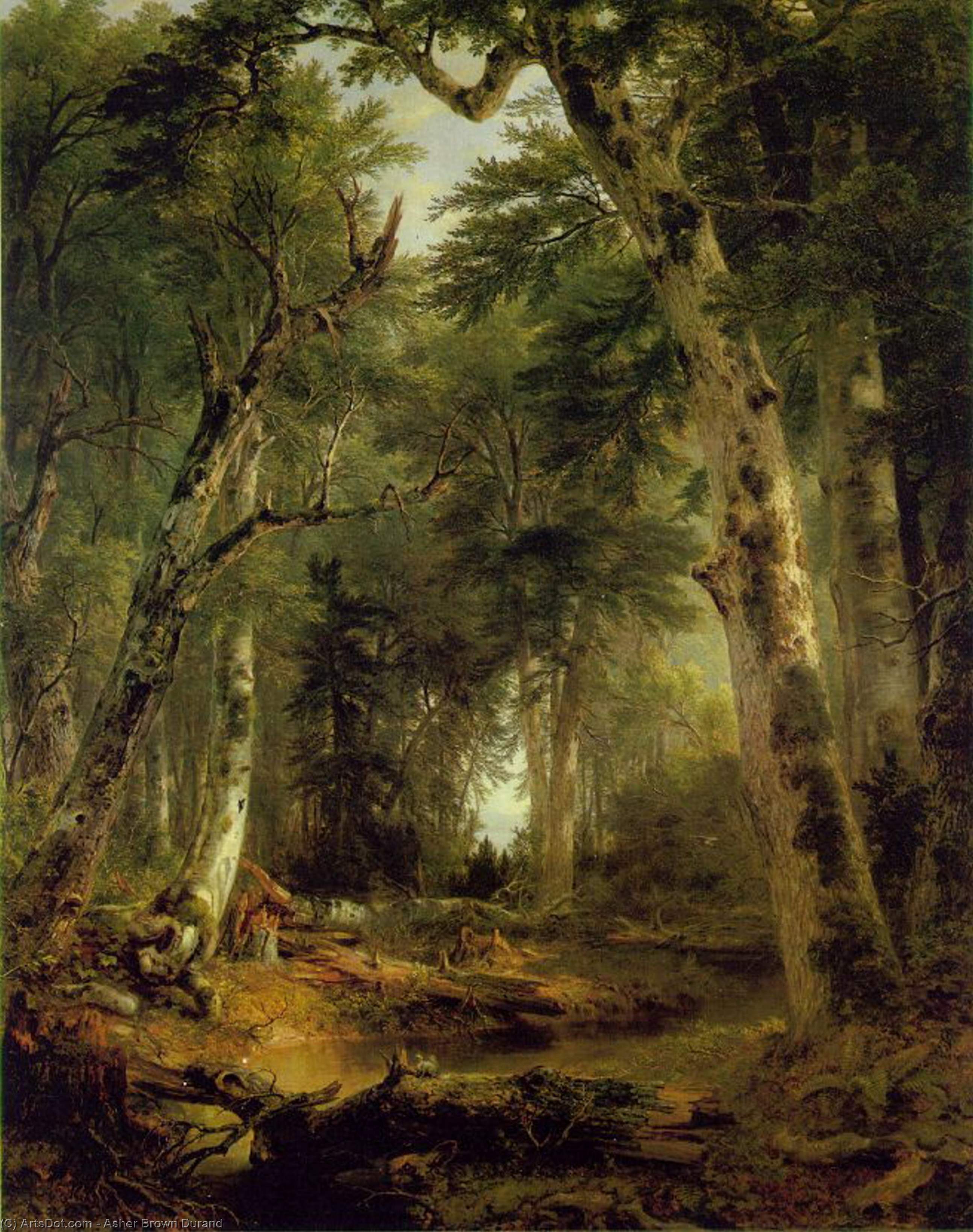 Wikioo.org - The Encyclopedia of Fine Arts - Painting, Artwork by Asher Brown Durand - In the Woods