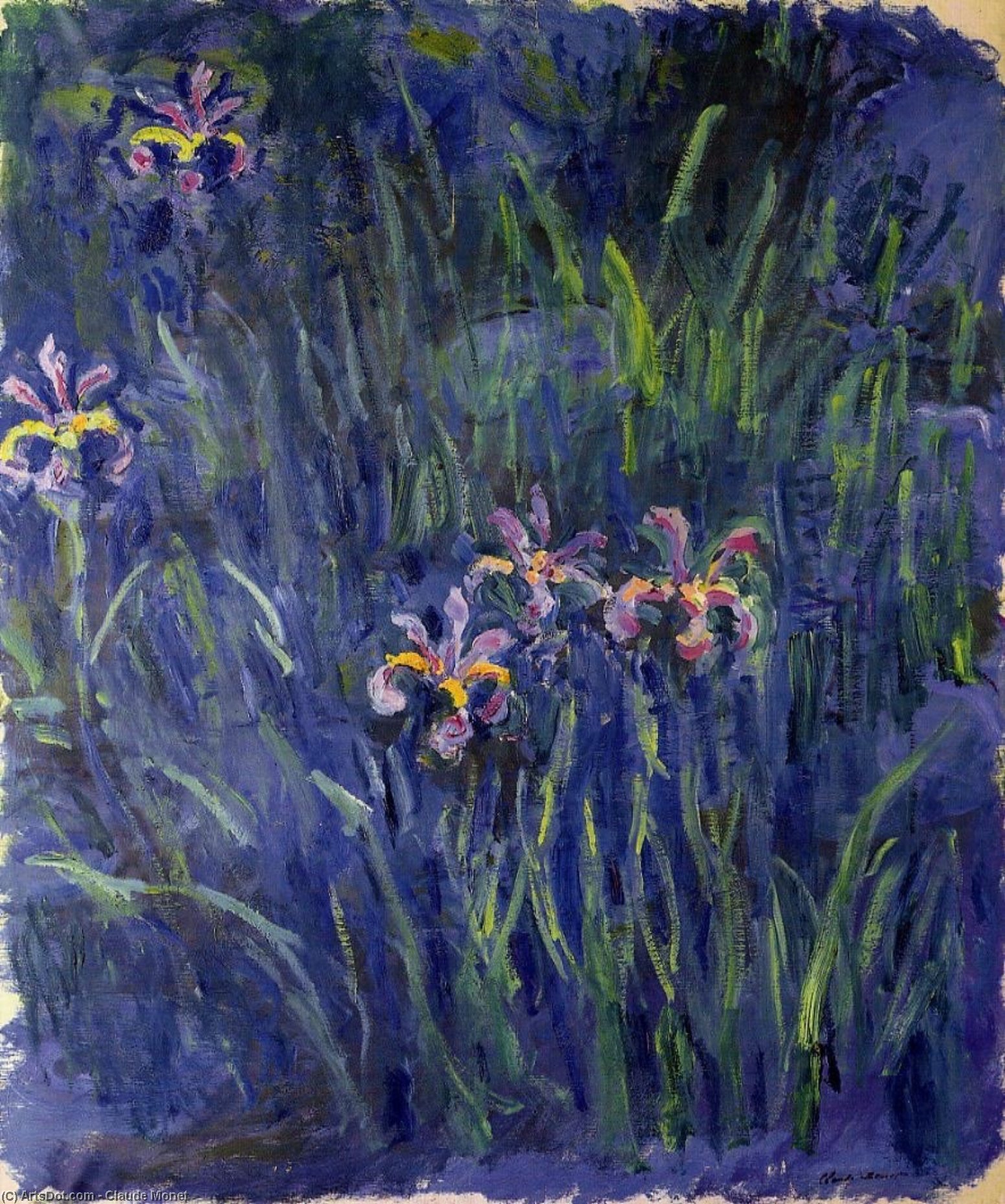 WikiOO.org - Encyclopedia of Fine Arts - Lukisan, Artwork Claude Monet - Irises