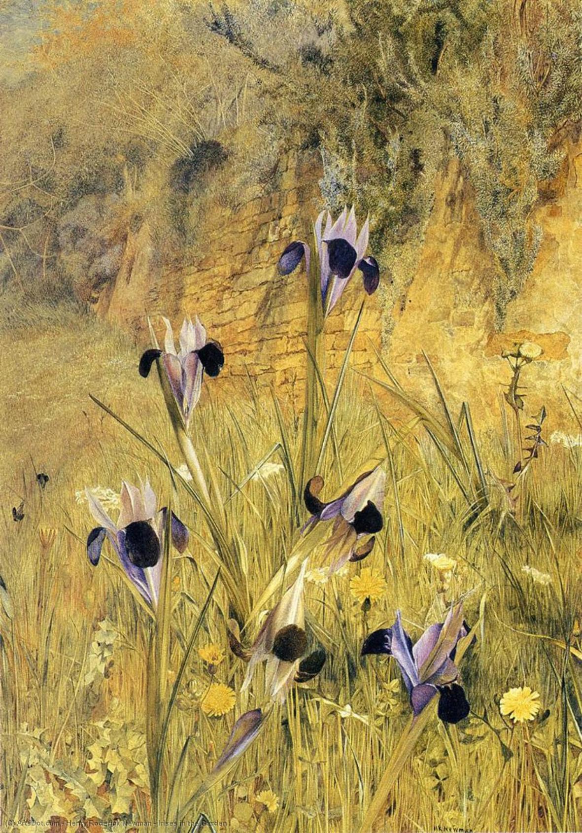 Wikioo.org - The Encyclopedia of Fine Arts - Painting, Artwork by Henry Roderick Newman - Irises in the Garden