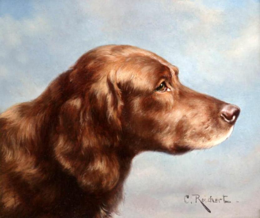Wikioo.org - The Encyclopedia of Fine Arts - Painting, Artwork by Carl Reichert - Irish Setter