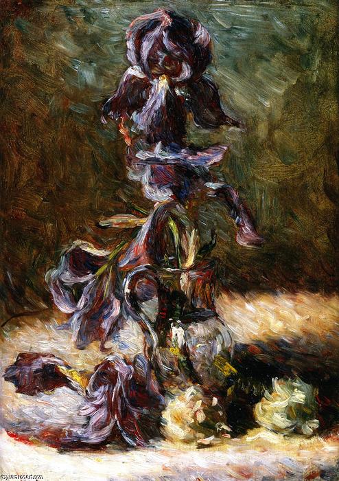 WikiOO.org - Encyclopedia of Fine Arts - Målning, konstverk Marie Bracqemond - Iris in the Vase