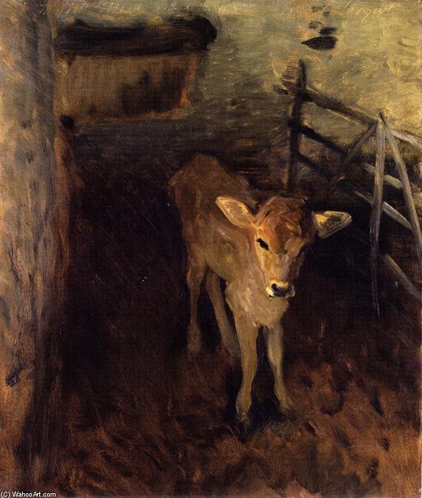 Wikioo.org - The Encyclopedia of Fine Arts - Painting, Artwork by John Singer Sargent - A Jersey Calf