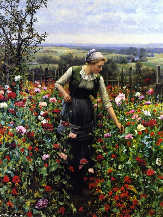 Wikioo.org - The Encyclopedia of Fine Arts - Painting, Artwork by Daniel Ridgway Knight - A July Morning