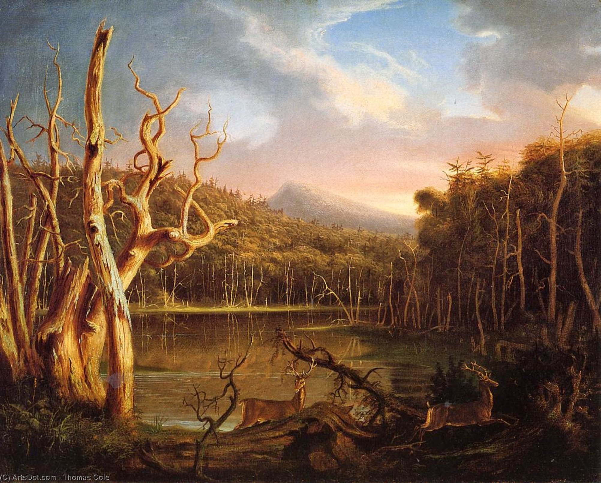 Wikioo.org – L'Enciclopedia delle Belle Arti - Pittura, Opere di Thomas Cole - lago con morto alberi ( conosciuto anche come Catskill )