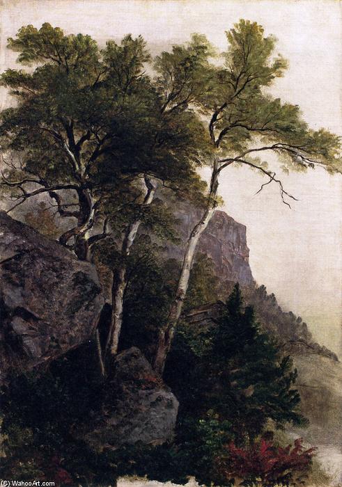 Wikioo.org - สารานุกรมวิจิตรศิลป์ - จิตรกรรม Asher Brown Durand - Landscape