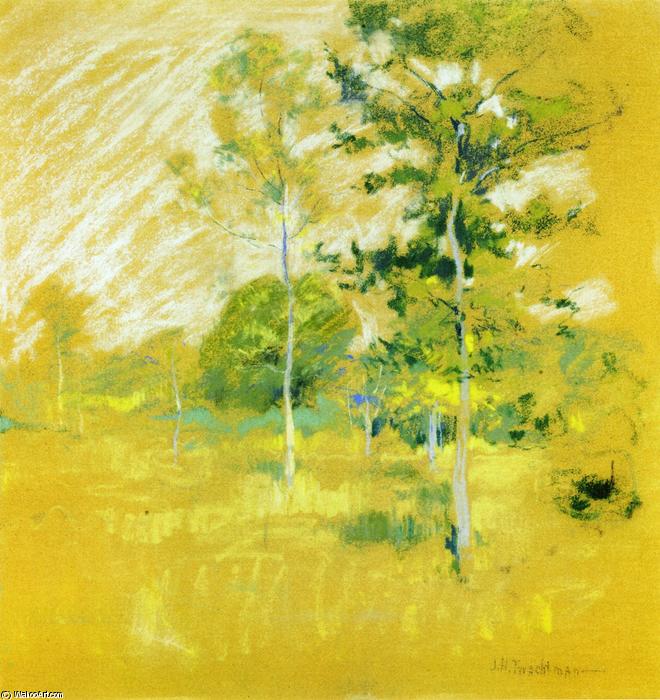 Wikioo.org - สารานุกรมวิจิตรศิลป์ - จิตรกรรม John Henry Twachtman - Landscape