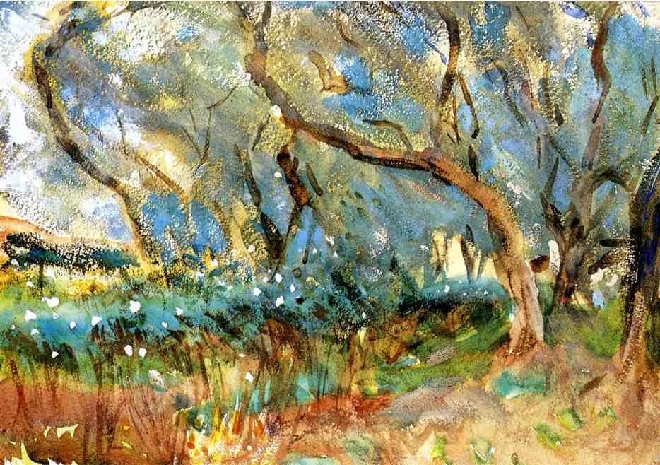 Wikioo.org - Encyklopedia Sztuk Pięknych - Malarstwo, Grafika John Singer Sargent - Landscape 1909 Corfu