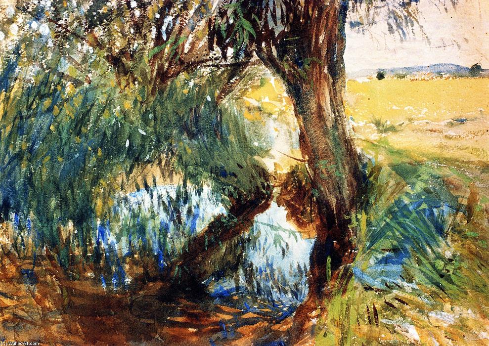 Wikioo.org - The Encyclopedia of Fine Arts - Painting, Artwork by John Singer Sargent - Landscape at Calcot