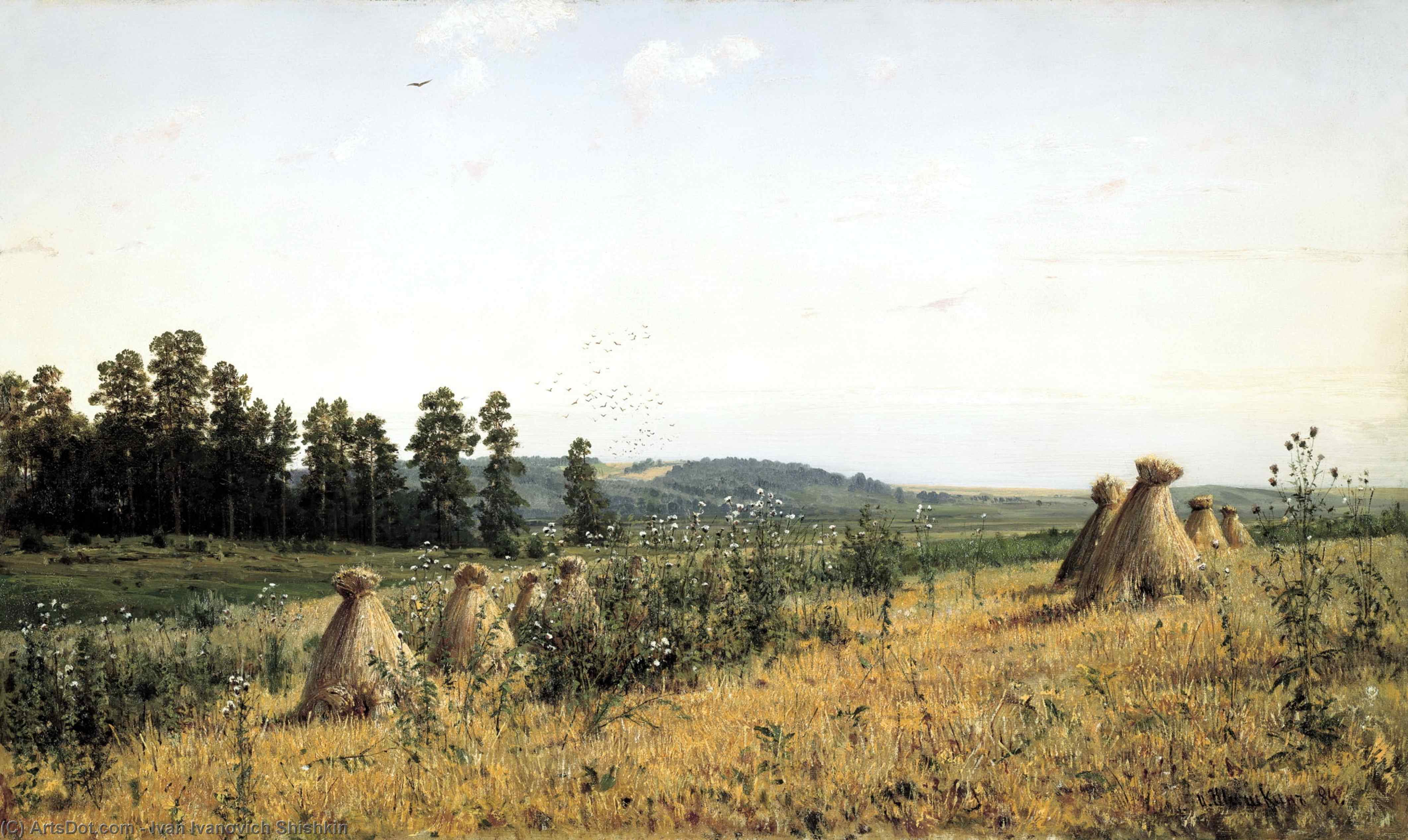 Wikioo.org - The Encyclopedia of Fine Arts - Painting, Artwork by Ivan Ivanovich Shishkin - Landscape in the Polesie