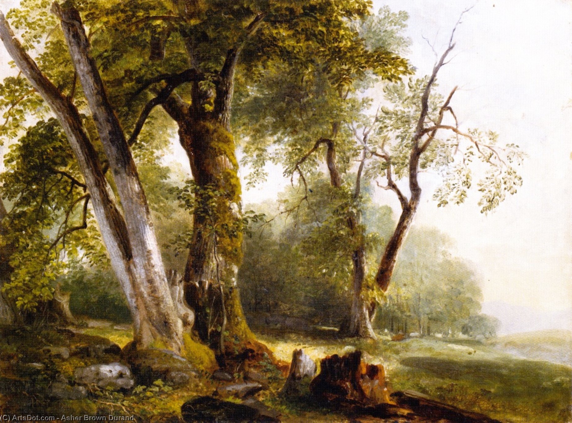 Wikioo.org - The Encyclopedia of Fine Arts - Painting, Artwork by Asher Brown Durand - Landscape with Beach Trees