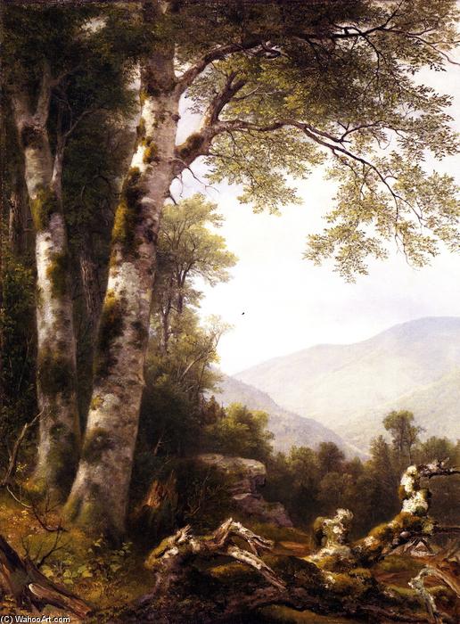 Wikioo.org - The Encyclopedia of Fine Arts - Painting, Artwork by Asher Brown Durand - Landscape with Birches