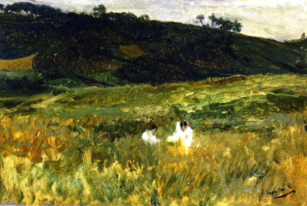 Wikioo.org - The Encyclopedia of Fine Arts - Painting, Artwork by Joaquin Sorolla Y Bastida - Landscape with Figures, Asturias