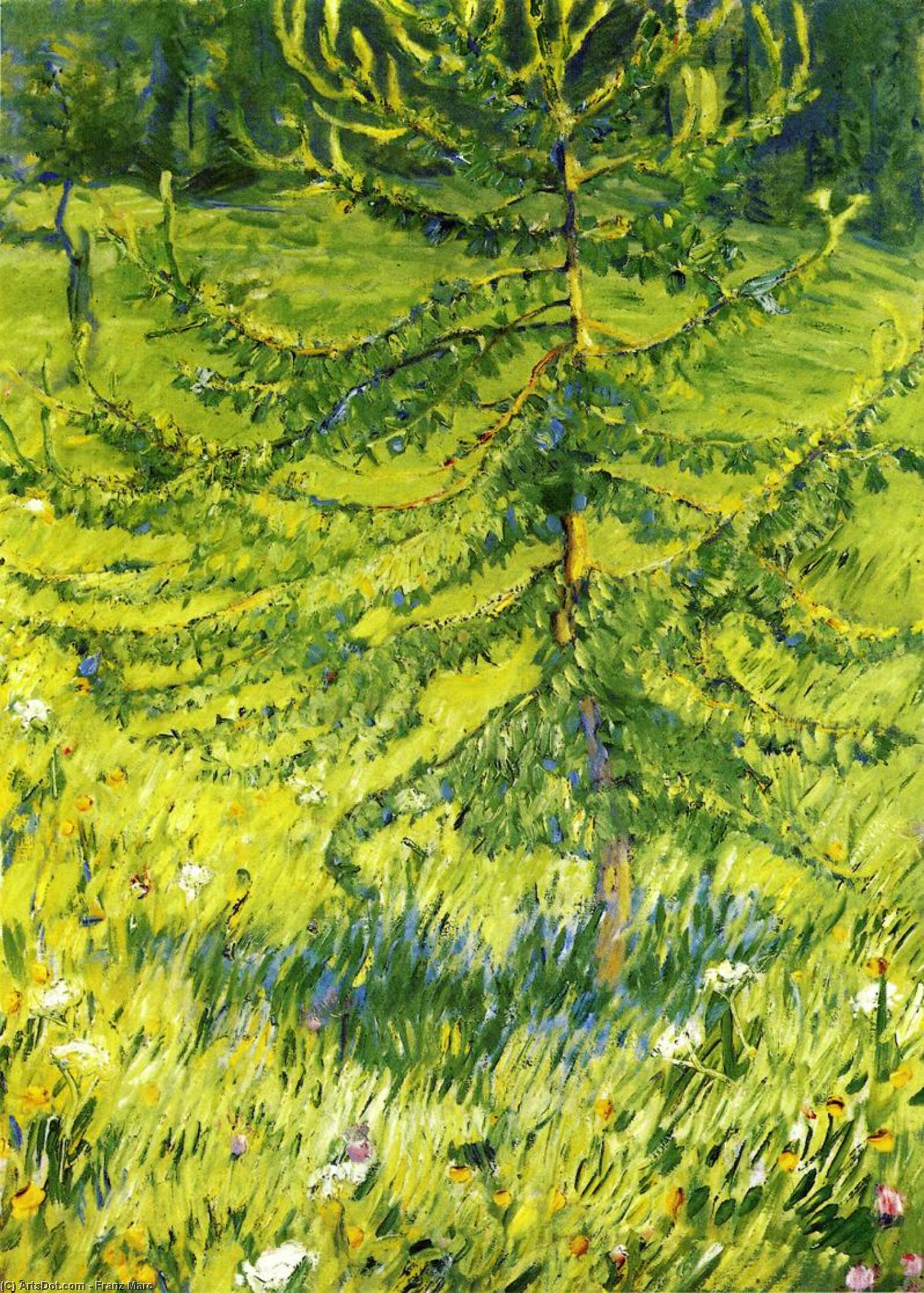 WikiOO.org - אנציקלופדיה לאמנויות יפות - ציור, יצירות אמנות Franz Marc - Larch Sapling (also known as Larch Sapling in a Forest Glade)