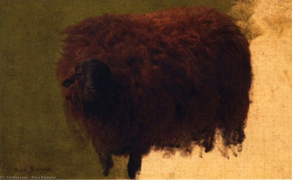 WikiOO.org - 백과 사전 - 회화, 삽화 Rosa Bonheur - Large Wooly Sheep (also known as Wether)