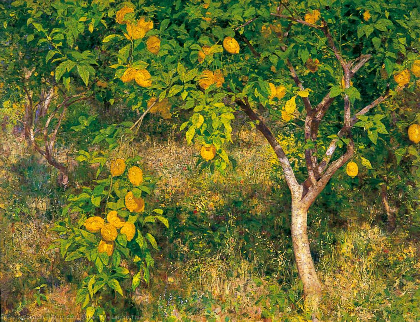 Wikioo.org – La Enciclopedia de las Bellas Artes - Pintura, Obras de arte de Henry Scott Tuke - el limón árbol