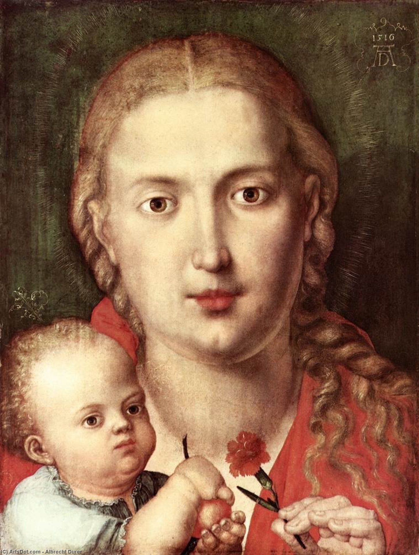 WikiOO.org - Enciklopedija dailės - Tapyba, meno kuriniai Albrecht Durer - The Madonna of the Carnation