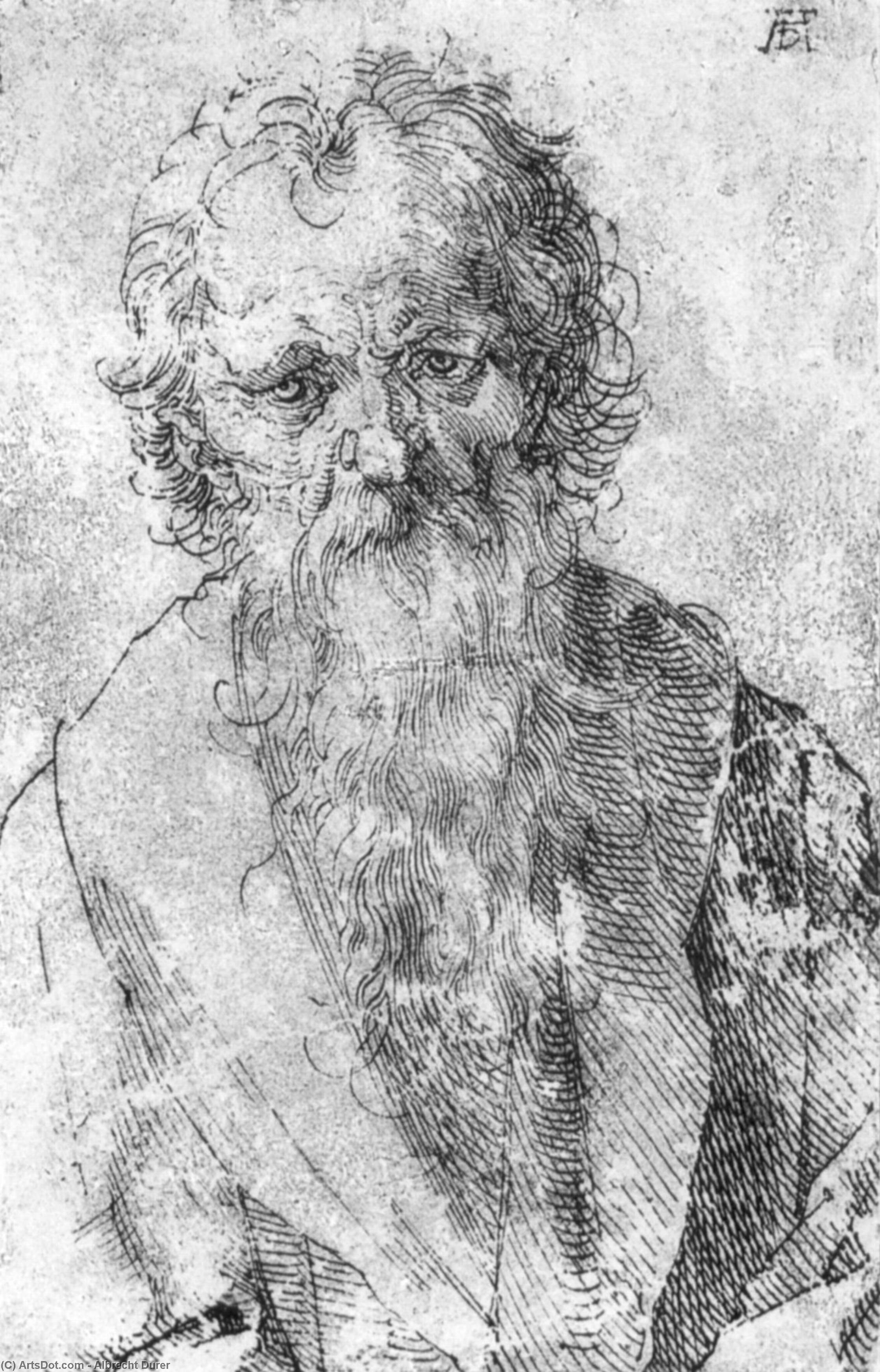 WikiOO.org - Encyclopedia of Fine Arts - Maľba, Artwork Albrecht Durer - Bearded Man