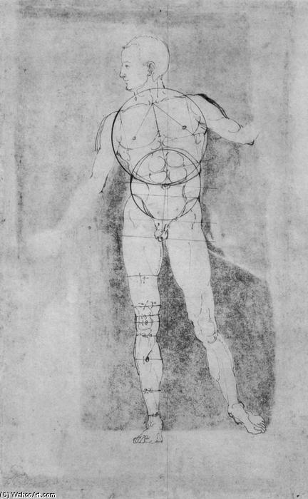 WikiOO.org – 美術百科全書 - 繪畫，作品 Albrecht Durer - 男性裸体（亚当）