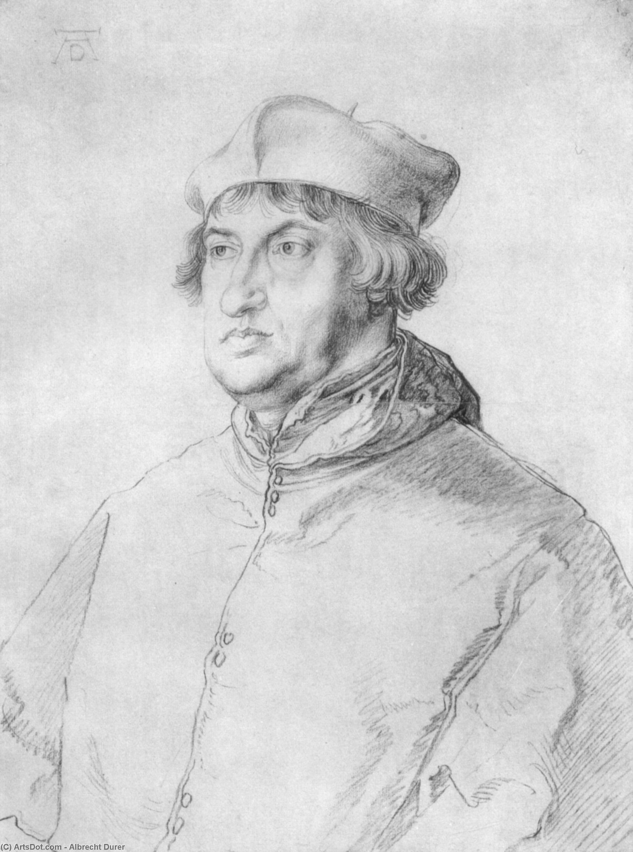 Wikioo.org – L'Encyclopédie des Beaux Arts - Peinture, Oeuvre de Albrecht Durer - portrait d'henry parker , lord morley