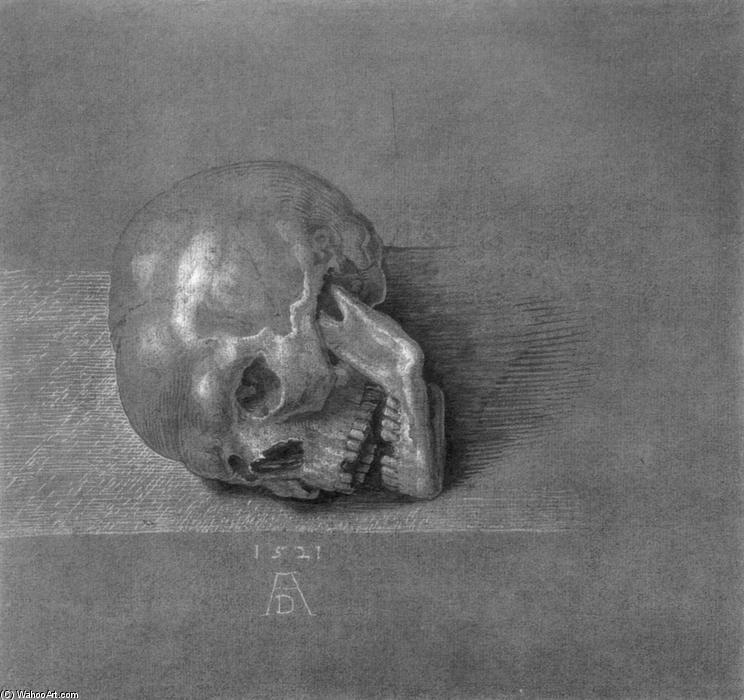 WikiOO.org - Εγκυκλοπαίδεια Καλών Τεχνών - Ζωγραφική, έργα τέχνης Albrecht Durer - Skull