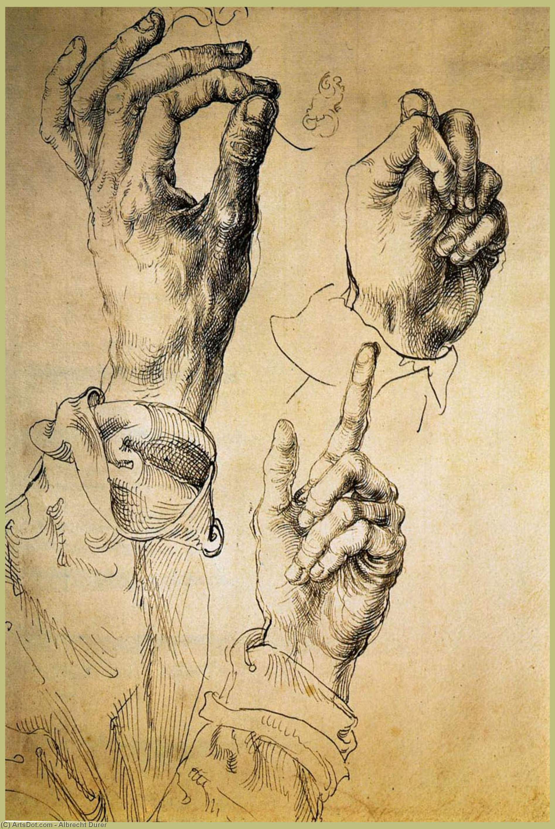 Wikioo.org - The Encyclopedia of Fine Arts - Painting, Artwork by Albrecht Durer - Study of Three Hands