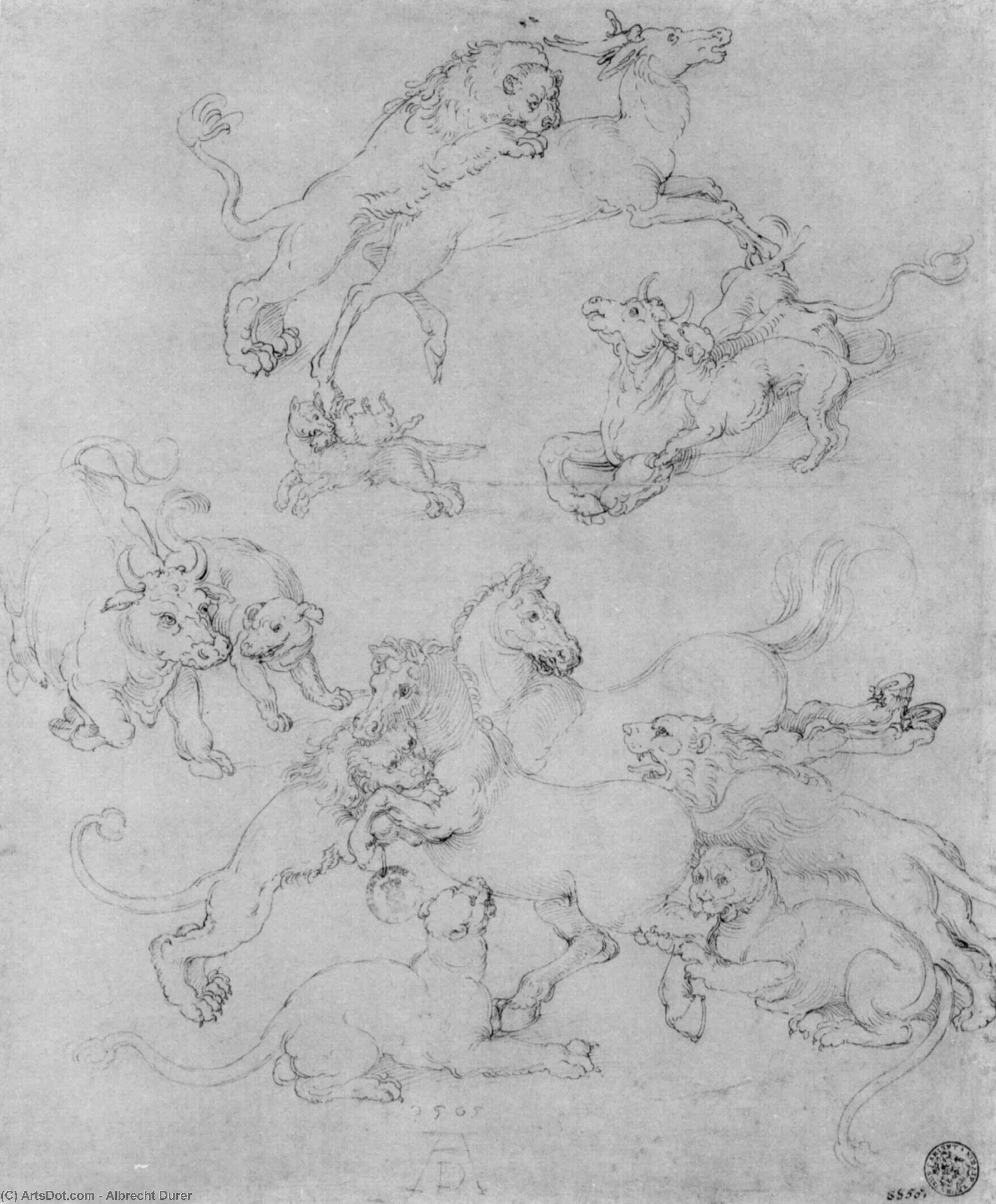 Wikioo.org - The Encyclopedia of Fine Arts - Painting, Artwork by Albrecht Durer - Study sheet with the attacked animals