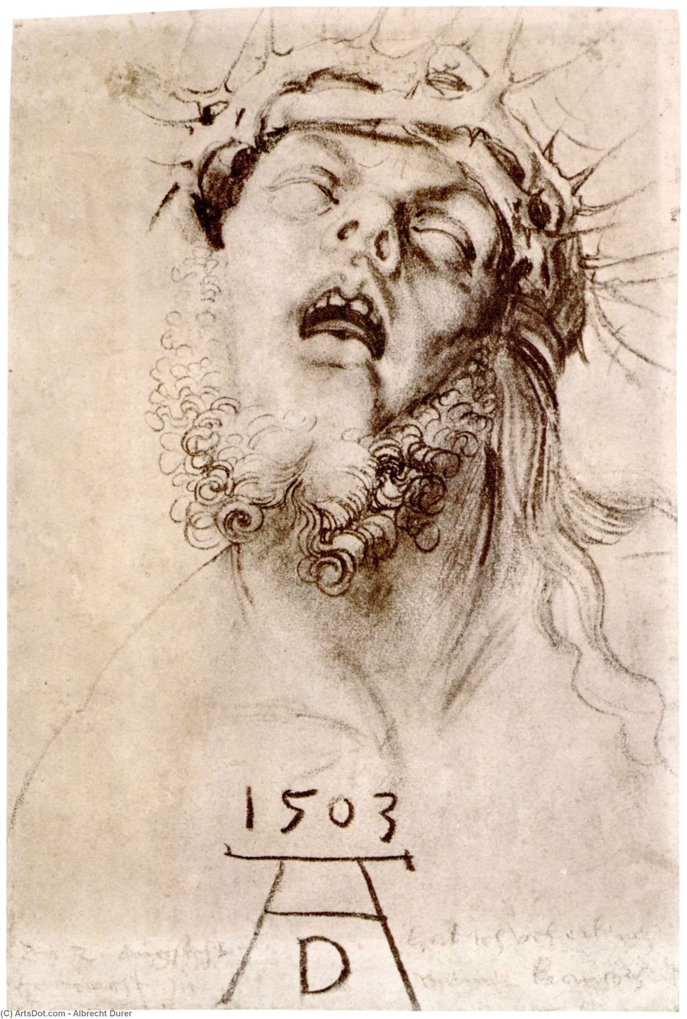 Wikioo.org – L'Encyclopédie des Beaux Arts - Peinture, Oeuvre de Albrecht Durer - le mort jésus christ avec l' couronne des épines