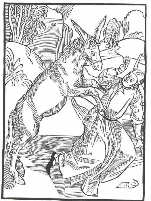 WikiOO.org - Encyclopedia of Fine Arts - Lukisan, Artwork Albrecht Durer - The ship of fool