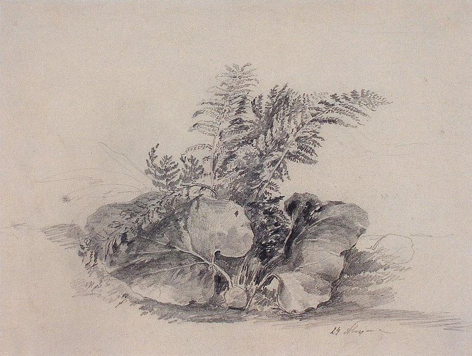 Wikioo.org - The Encyclopedia of Fine Arts - Painting, Artwork by Aleksey Savrasov - Fern leaves and burdock