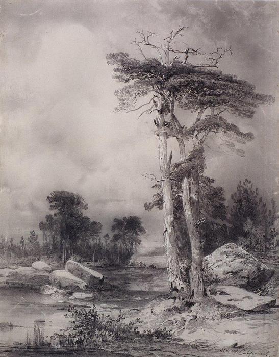 Wikioo.org - The Encyclopedia of Fine Arts - Painting, Artwork by Aleksey Savrasov - Old pine