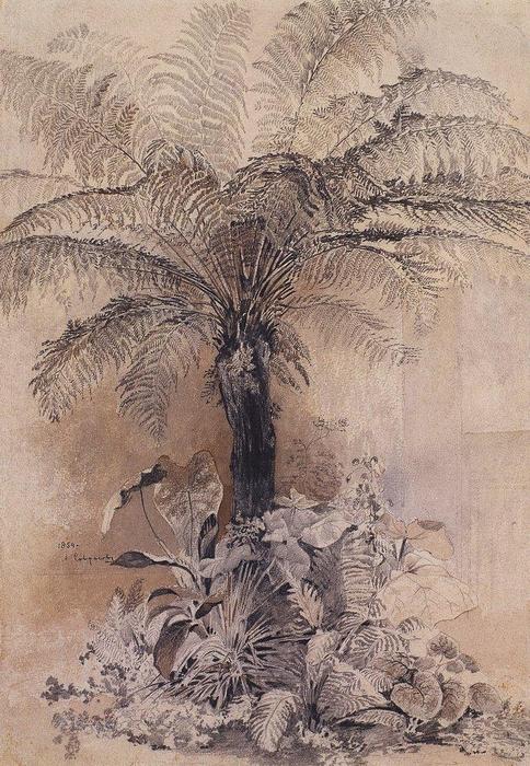 Wikioo.org - The Encyclopedia of Fine Arts - Painting, Artwork by Aleksey Savrasov - Tropical plants