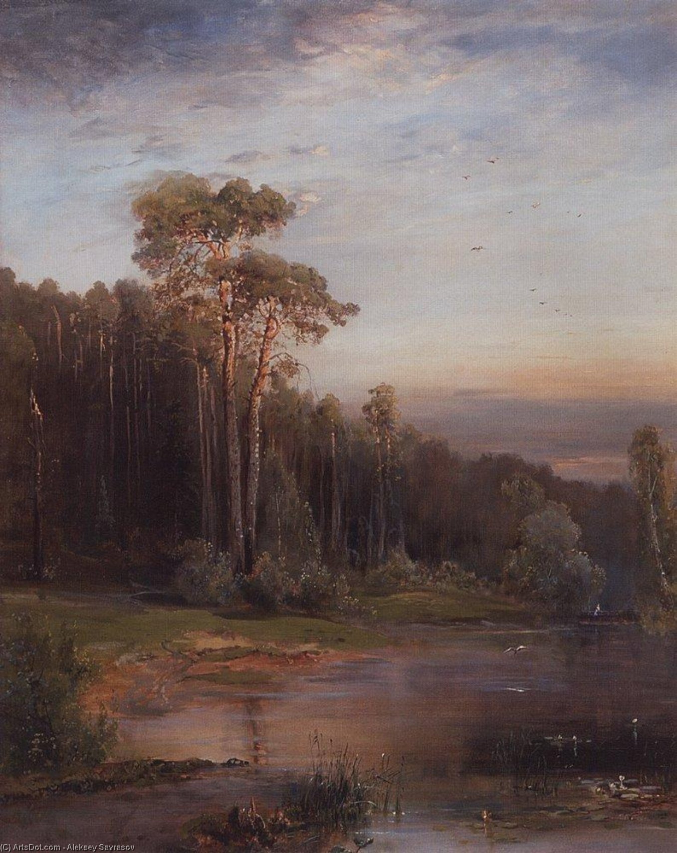 WikiOO.org – 美術百科全書 - 繪畫，作品 Aleksey Savrasov - 夏天 风景  与 松树 树  附近  的  河