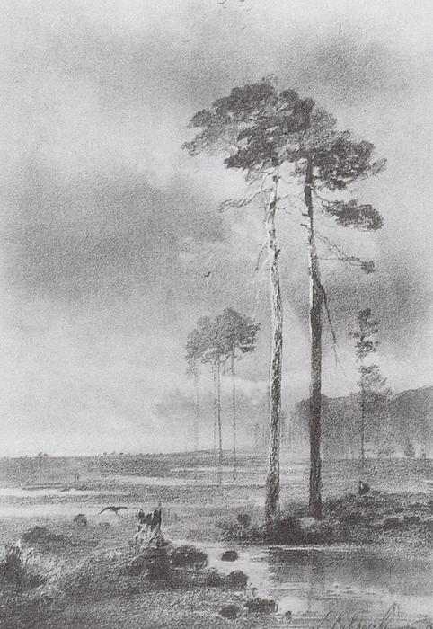 WikiOO.org - Encyclopedia of Fine Arts - Maľba, Artwork Aleksey Savrasov - Pine in marsh