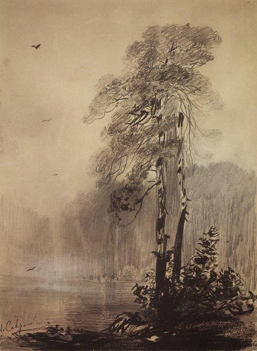 Wikioo.org - The Encyclopedia of Fine Arts - Painting, Artwork by Aleksey Savrasov - Pines on the shores of Lake