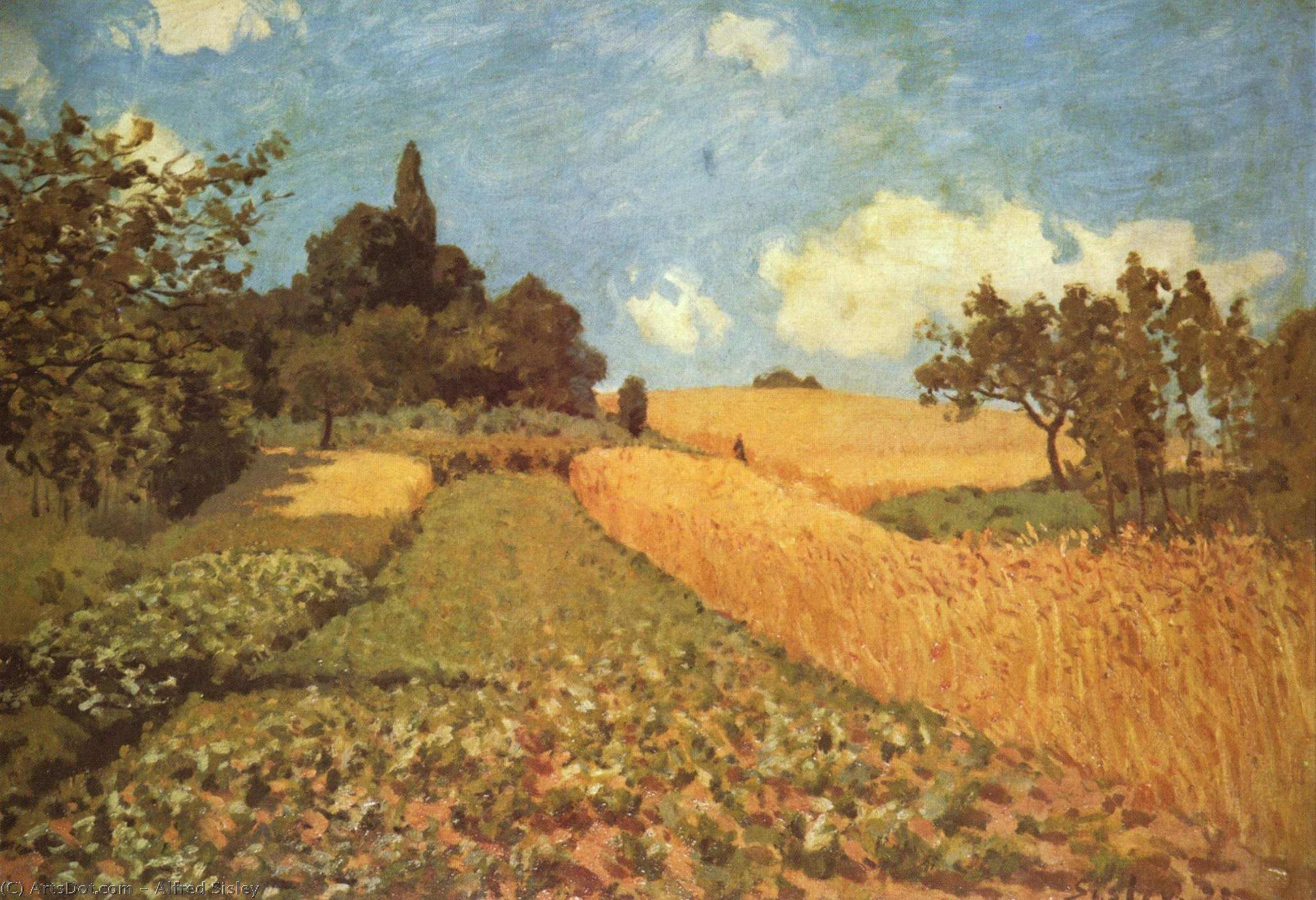 Wikioo.org - The Encyclopedia of Fine Arts - Painting, Artwork by Alfred Sisley - Cornfield