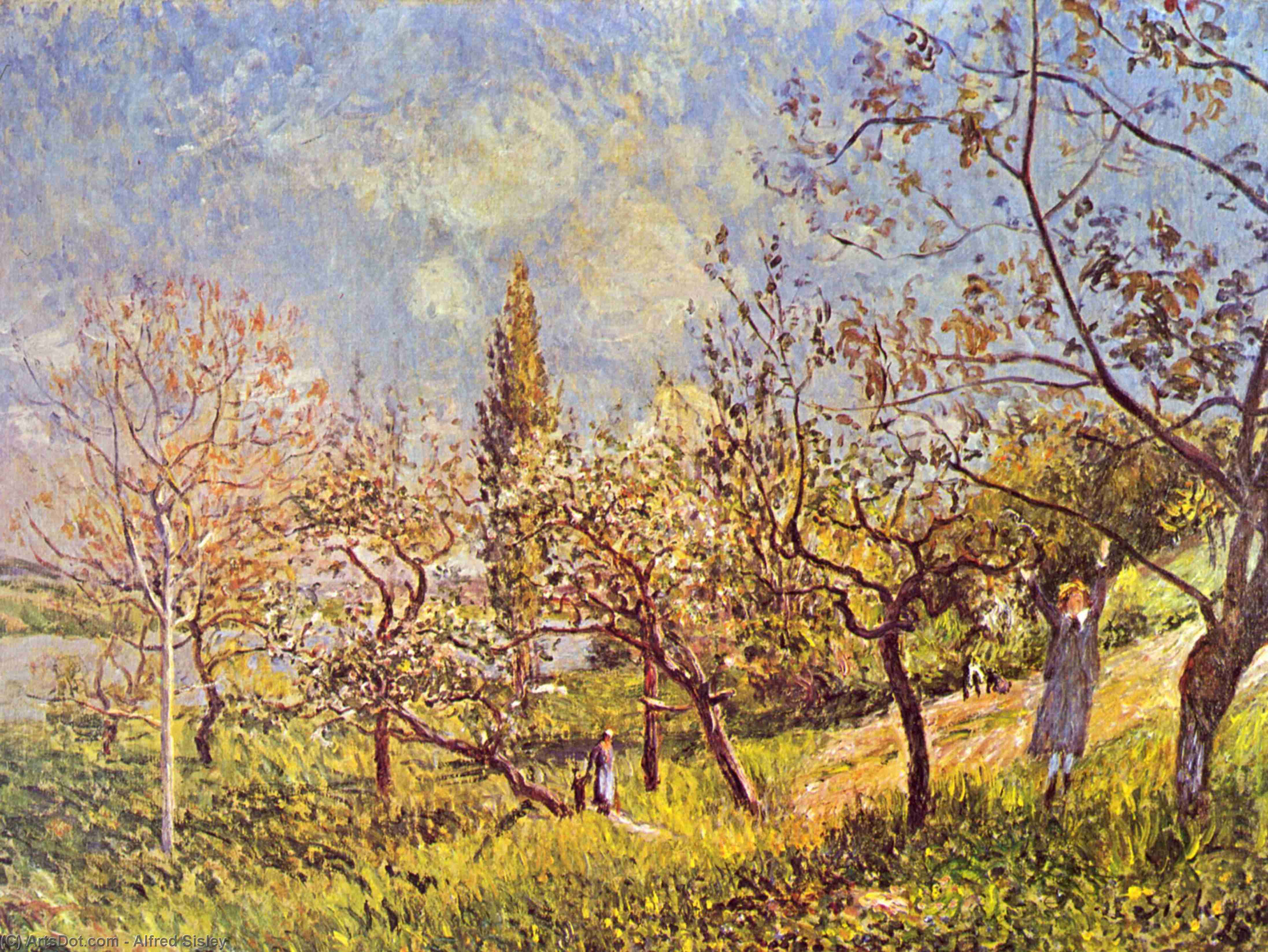 Wikioo.org - Die Enzyklopädie bildender Kunst - Malerei, Kunstwerk von Alfred Sisley - Obstgarten im Frühjahr