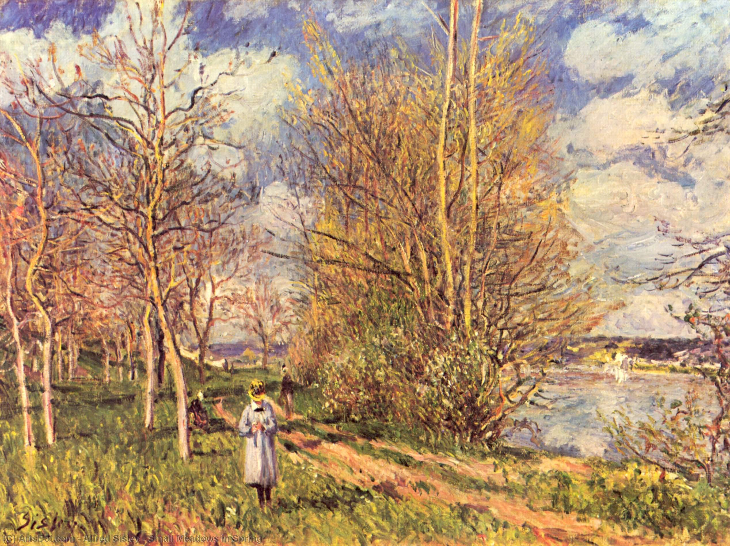Wikioo.org – L'Encyclopédie des Beaux Arts - Peinture, Oeuvre de Alfred Sisley - petit de prairies  dans  printanières