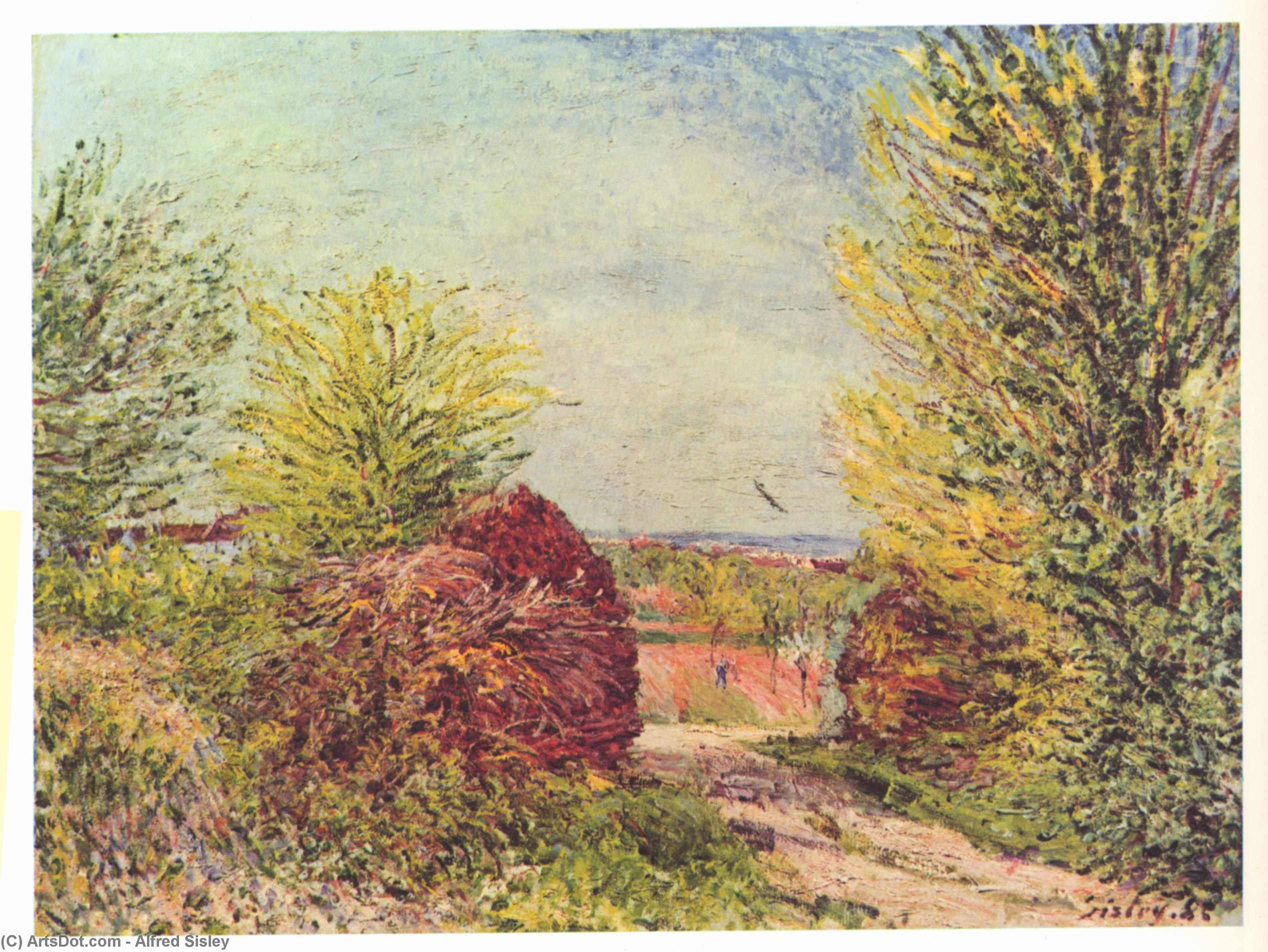 Wikioo.org – La Enciclopedia de las Bellas Artes - Pintura, Obras de arte de Alfred Sisley - Lejos en la primavera Veneux Nadon