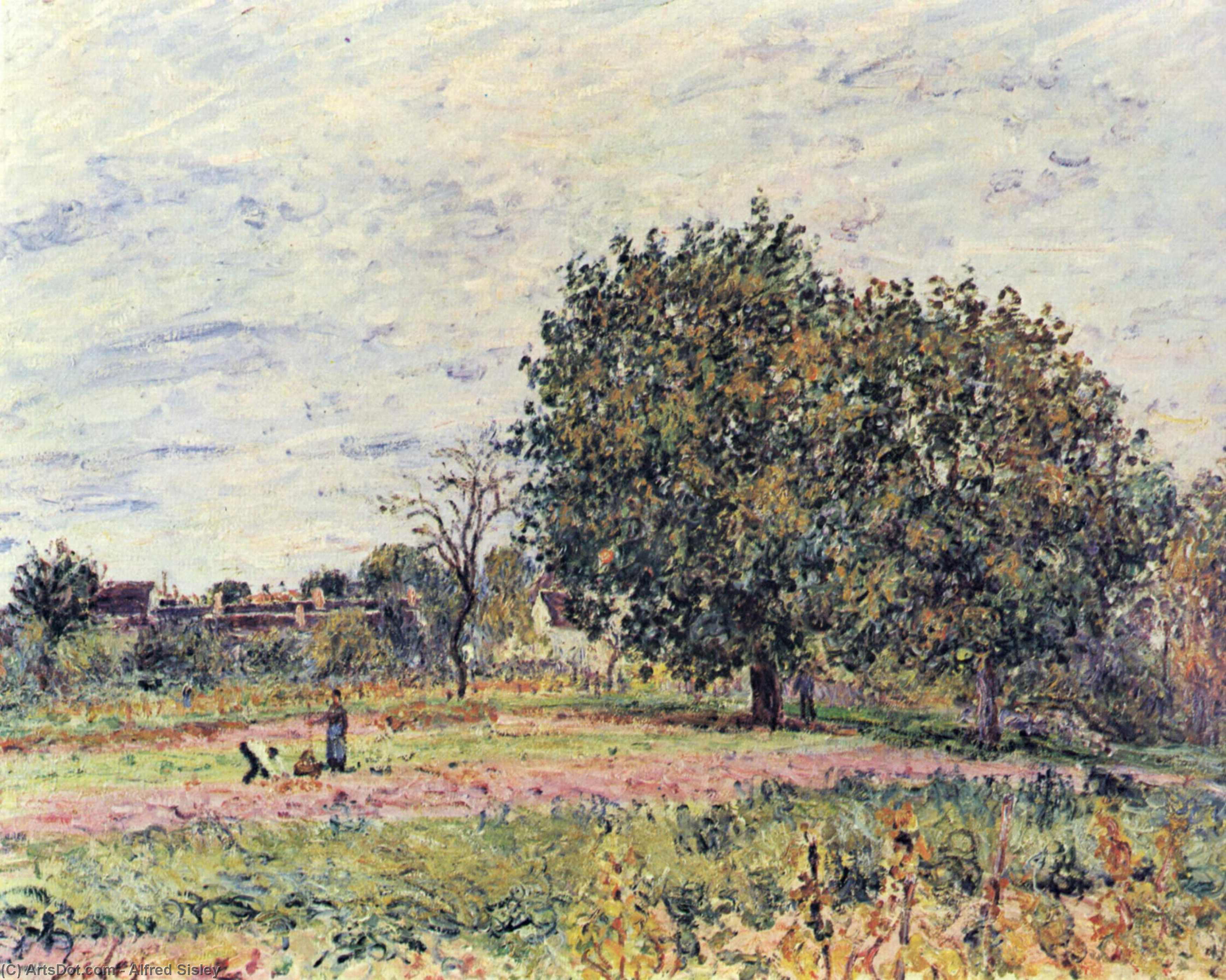 Wikioo.org - The Encyclopedia of Fine Arts - Painting, Artwork by Alfred Sisley - Walnut trees at sunset in early October