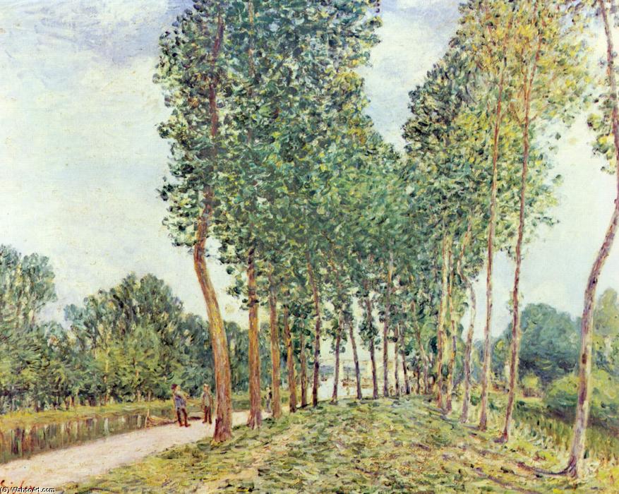 Wikioo.org - The Encyclopedia of Fine Arts - Painting, Artwork by Alfred Sisley - Banks of the Loing at Moret
