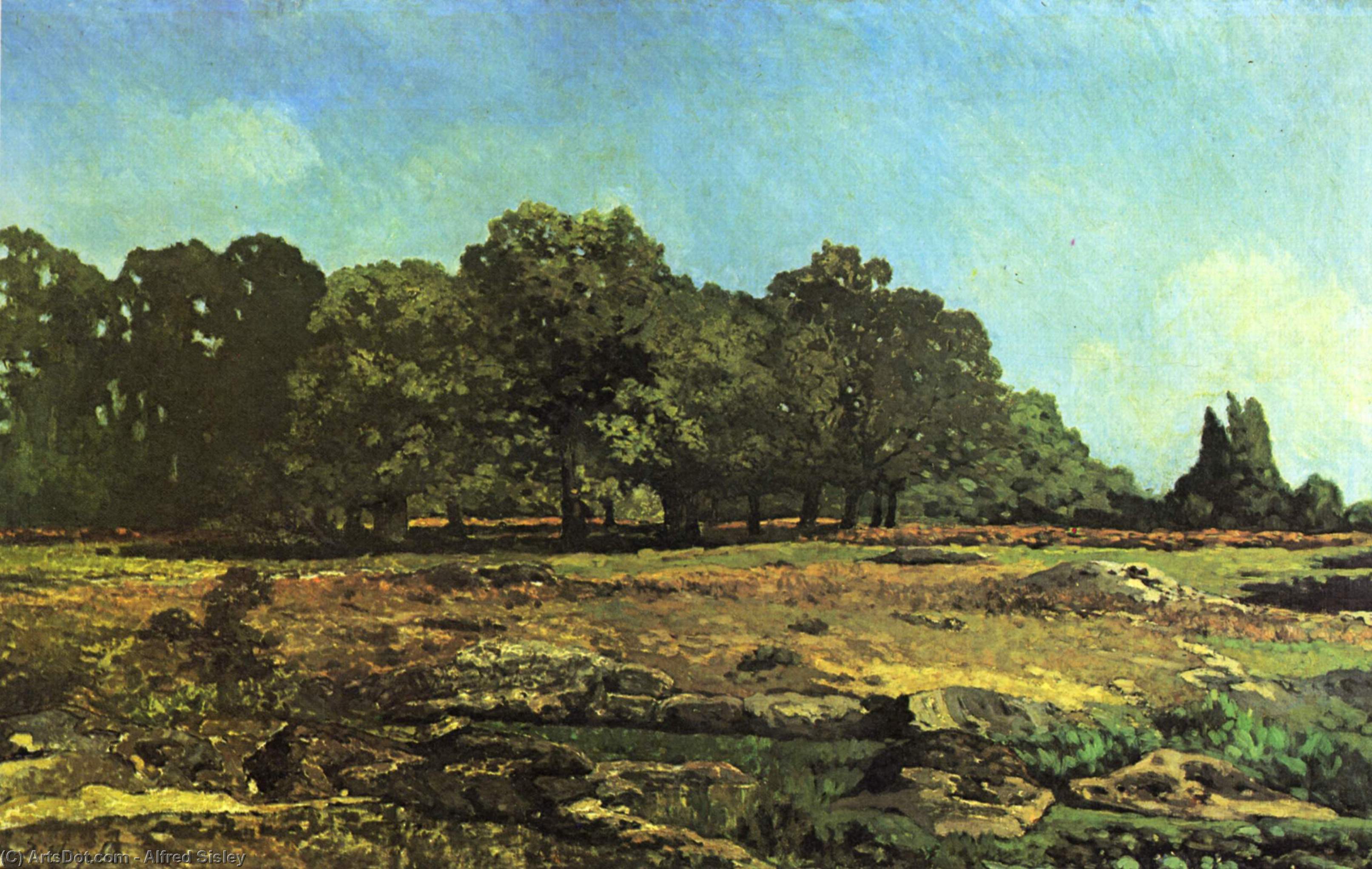 Wikioo.org – L'Enciclopedia delle Belle Arti - Pittura, Opere di Alfred Sisley - viale dei castagni vicino a la celle saint cloud