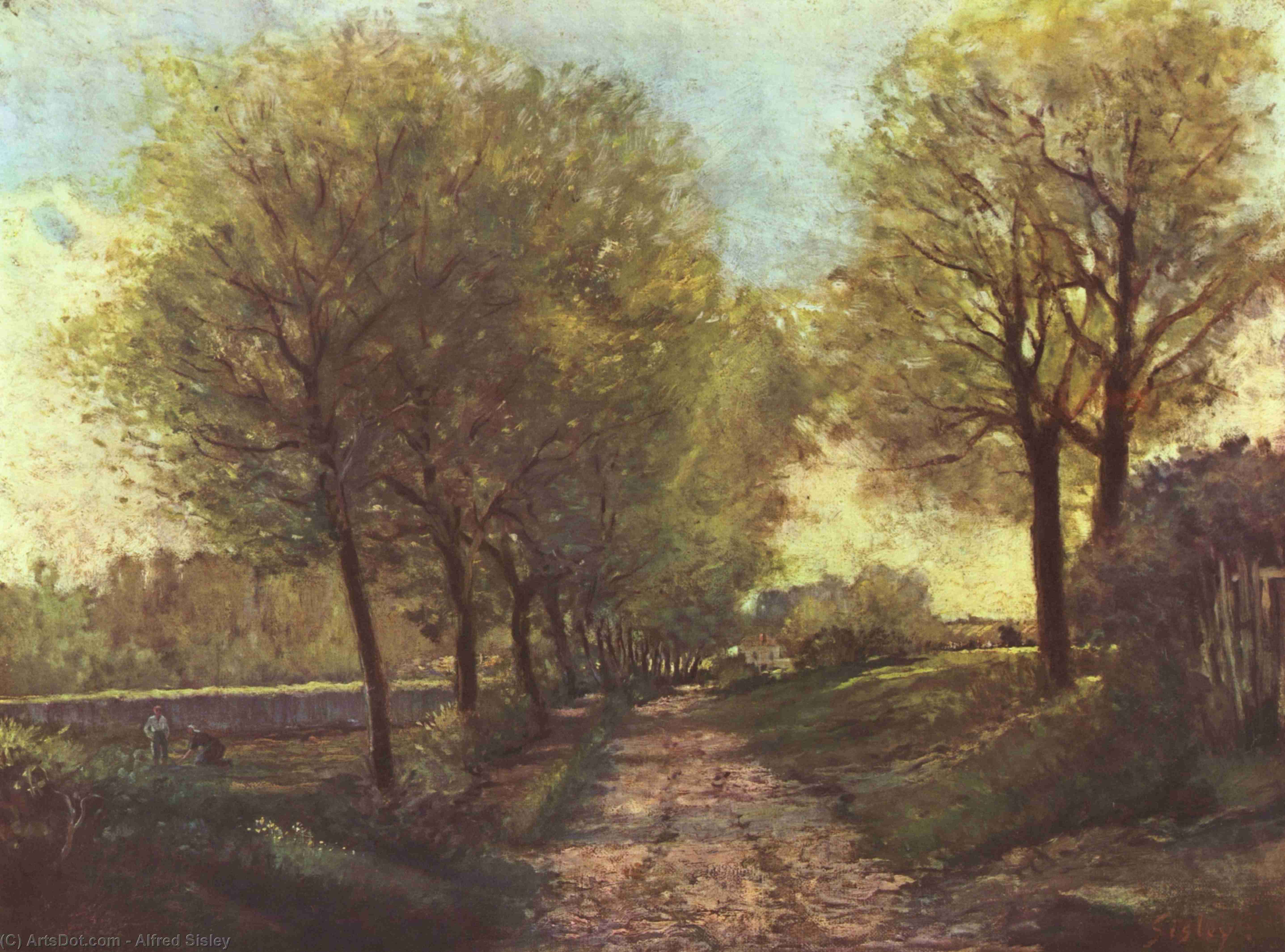 Wikioo.org - The Encyclopedia of Fine Arts - Painting, Artwork by Alfred Sisley - Avenue of trees in a small town