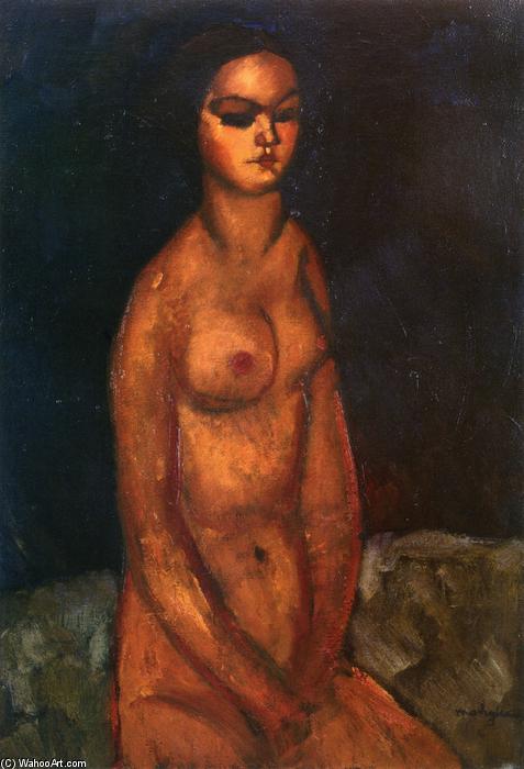 Wikioo.org - The Encyclopedia of Fine Arts - Painting, Artwork by Amedeo Modigliani - Seated nude