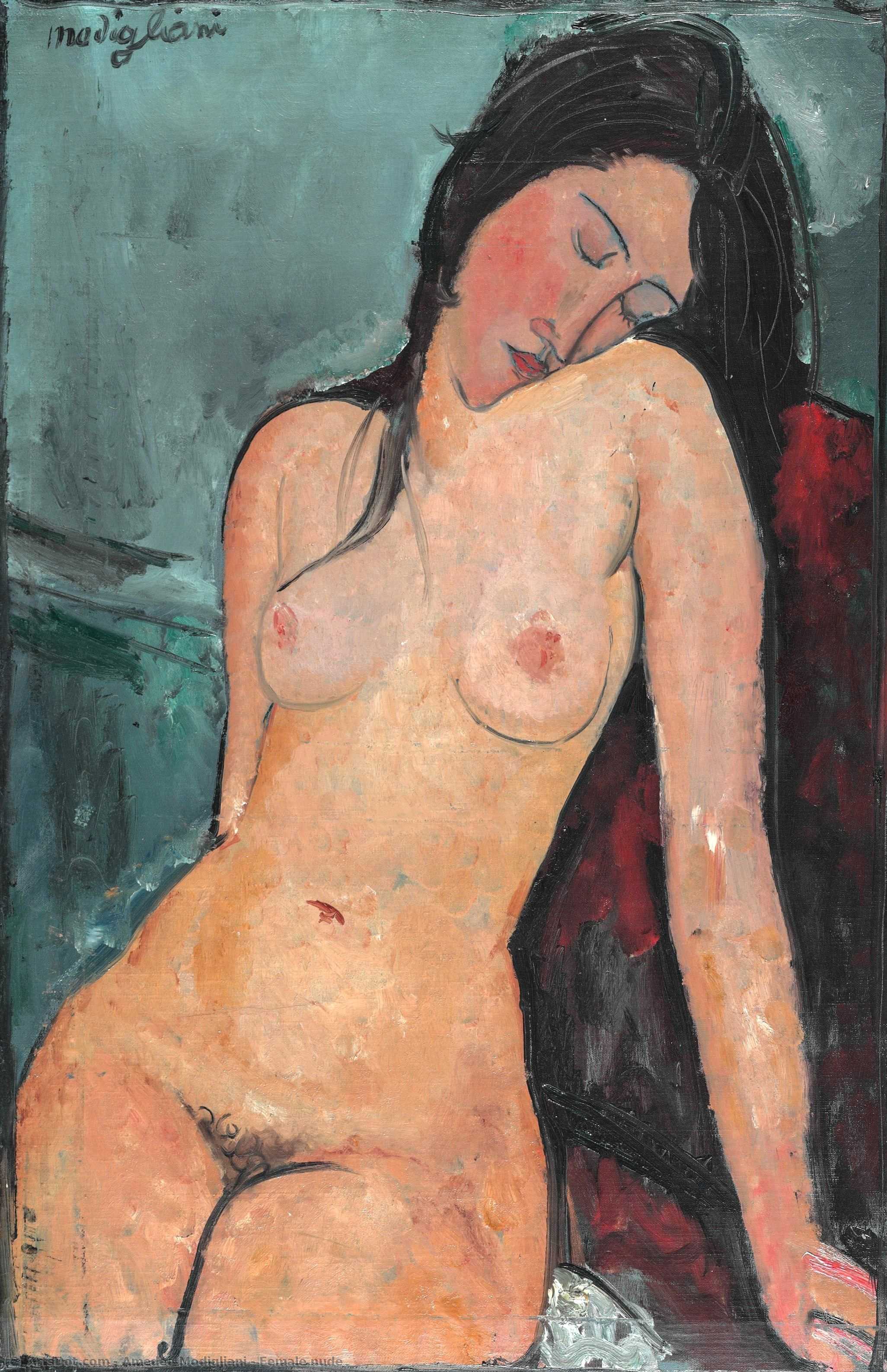 Wikoo.org - موسوعة الفنون الجميلة - اللوحة، العمل الفني Amedeo Modigliani - Female nude